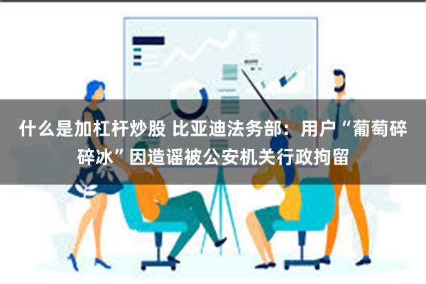 什么是加杠杆炒股 比亚迪法务部：用户“葡萄碎碎冰”因造谣被公安机关行政拘留