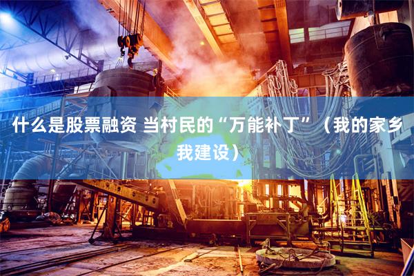 什么是股票融资 当村民的“万能补丁”（我的家乡我建设）