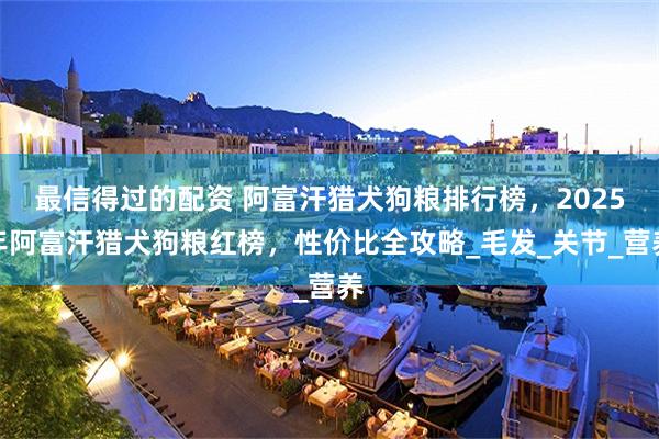 最信得过的配资 阿富汗猎犬狗粮排行榜，2025年阿富汗猎犬狗粮红榜，性价比全攻略_毛发_关节_营养