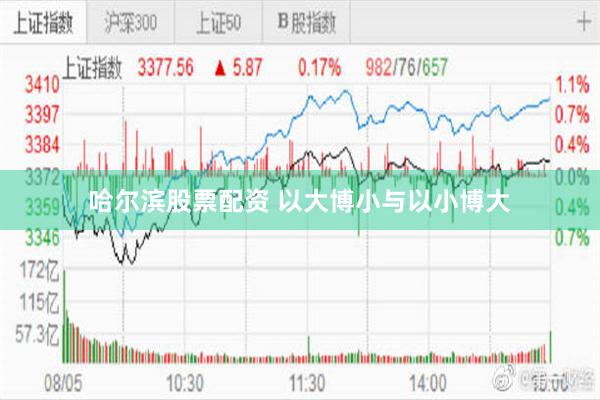 哈尔滨股票配资 以大博小与以小博大