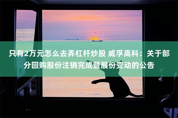 只有2万元怎么去弄杠杆炒股 威孚高科：关于部分回购股份注销完成暨股份变动的公告
