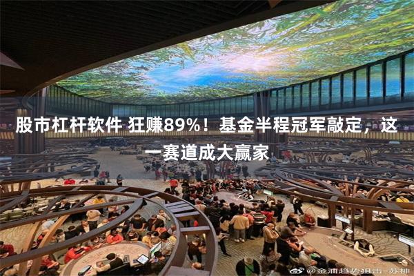 股市杠杆软件 狂赚89%！基金半程冠军敲定，这一赛道成大赢家