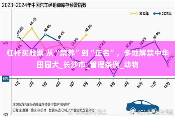 杠杆买股票 从“禁养”到“正名”，多地解禁中华田园犬_长沙市_管理条例_动物