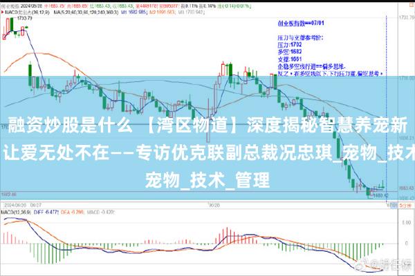 融资炒股是什么 【湾区物道】深度揭秘智慧养宠新纪元，让爱无处不在——专访优克联副总裁况忠琪_宠物_技术_管理