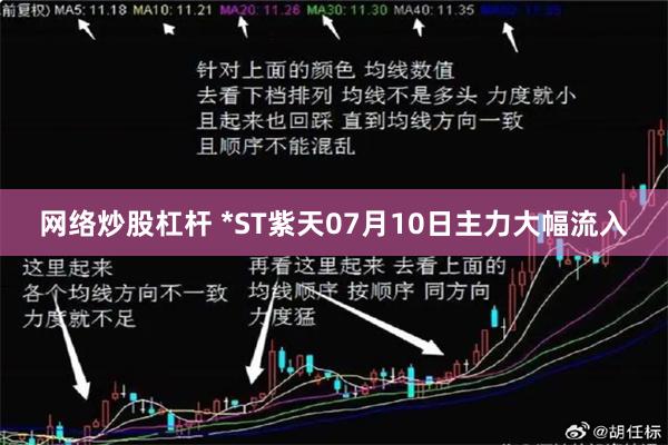 网络炒股杠杆 *ST紫天07月10日主力大幅流入