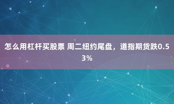 怎么用杠杆买股票 周二纽约尾盘，道指期货跌0.53%