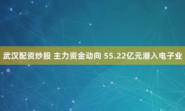 武汉配资炒股 主力资金动向 55.22亿元潜入电子业