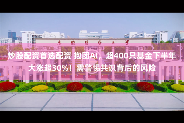炒股配资首选配资 抱团AI，超400只基金下半年大涨超30%！需警惕共识背后的风险