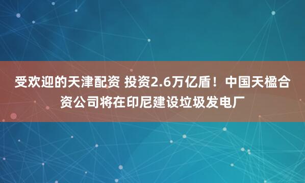 受欢迎的天津配资 投资2.6万亿盾！中国天楹合资公司将在印尼建设垃圾发电厂