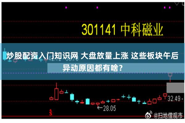 炒股配资入门知识网 大盘放量上涨 这些板块午后异动原因都有啥？