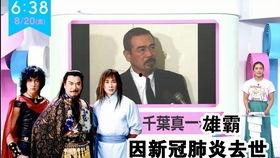 日本武打明星,传奇技艺与辉煌岁月